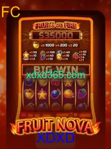 Explorando o Mundo de FruitNova: Um Jogo de Estratégia Inovador